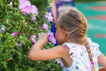 Little girl sniffs flowers in the street. The child is allergic to flowering.