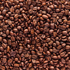 Coffee beans seamless background. Top view