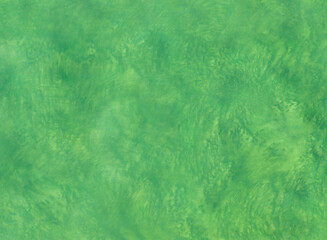 Fototapeta premium Green background painted with acrylic paints. Abstract background painted with brush and sponge.