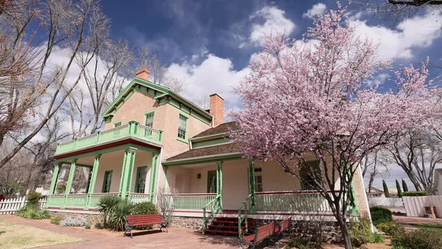 Cherry tree blossom and Brigham Young Winter Home