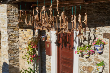 Curadillo drying in the sun, typical fish from the town of Ribadesella (Ribeseya) in Asturias (Asturies).