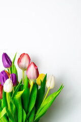 bouquet of colourful tulip flower on natural white background. Spring bud bouquet creative frame design. Text space. 
