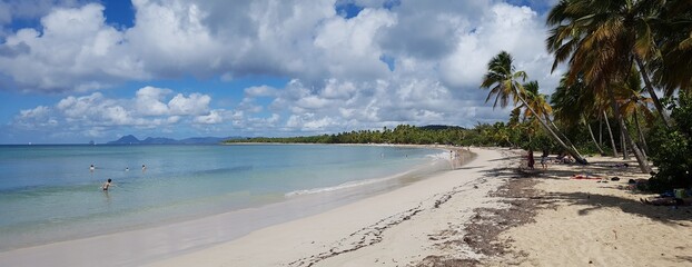 white sand beach with palm trees in Martinique 