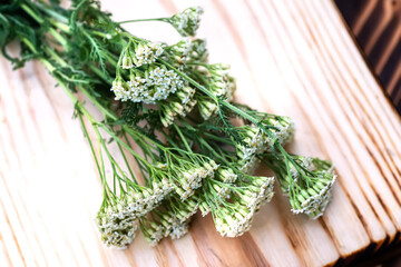 Achillea millefolium, yarrow or common yarrow white fresh flowers On a wooden cutting board ready for cooking medicines, medicines or drying