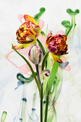 Spring flowers with red buds on a white background, green ink in the background.