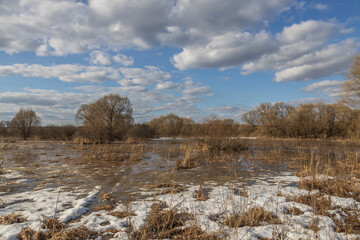 River flood on a spring day. Dry grass is visible from under the snow. The land is flooded with water.