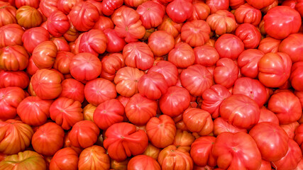 Fresh tomatoes  are sold in the market of  Valencia. Full frame of  red tomatoes background.