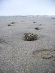 Galet sur la plage