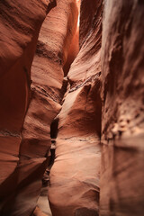Peek-a-boo canyon in Grand Staircase Escalante National Monument, Utah, USA