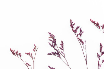 Flat lay dried flower background with copy space, top view