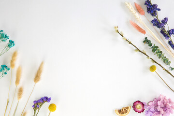 Fresh bight spring dried Flower frame isolated on white background with copy space, romantic,summer modern concept, flat lay, overhead view