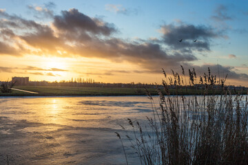 Obraz premium Reeds along canal in Kinderdijk at sunset in The Netherlands