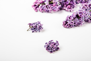 Lilac flowers on the white background. Close-up view