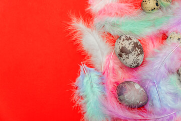 Easter eggs in multi-colored feathers on a red background, postcard for Easter, print...