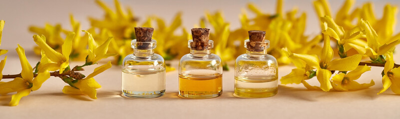 Panoramic banner of essential oil bottles with yellow forsythia flowers - spring concept