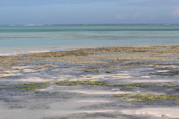 Obraz premium A view of Zanzibar