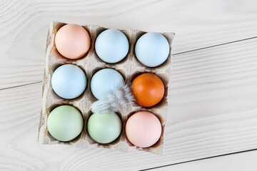 Fresh chicken organic eggs different colors and a feather in paper tray. Natural green, blue, pink and brown eggs.