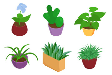 Flower pot set, green plant isometric collection, vector illustration. Nature decoration, houseplant, isolated on white design.