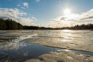 Cracked ice melts under the sun on a forest lake. Spring landscape with forest pond during sun down
