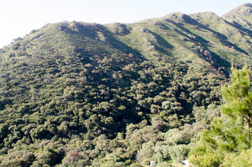 Monta&ntilde;a, paisaje, naturaleza, cerro, soledad, bosque, alturas, cielo, arboles