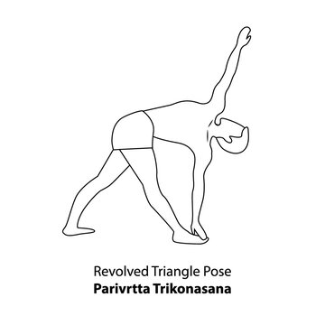 Revolved Triangle Pose (Parivritta Trikonasana) Dimensions & Drawings |  Dimensions.com