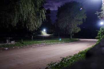 bosque nocturno