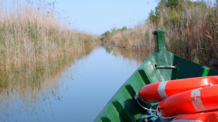 Boat trip in the Albufera Natural Park, near Valencia, Spain. The blue sky is reflected in the clear water on a sunny day