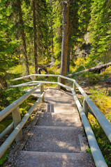 Hiking Trail