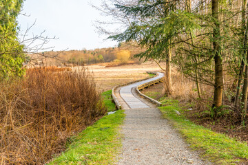 Fototapeta premium Trail through lush green forest in Deer Lake Park, Vancouver, Canada.