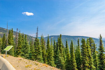 Rocky Mountains. Coastal Mountains. Blackwall Peak trail in Manning Park. British Columbia. Canada.