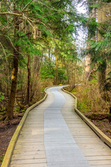 Wooden path at Deer Lake trail in Vancouver, Canada.