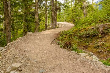 Fototapeta premium Fragment of Panorama Trail in Sea to Sky Gondola Park in Vancouver, Canada.