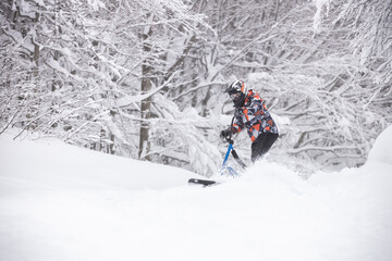 Naklejka na ściany i meble Riding downhill with a snowscoot (snowbike)