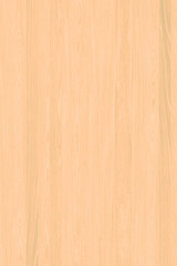 wooden tree timber background texture structure backdrop