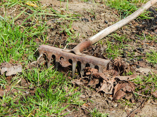 the rake is lying on the green grass