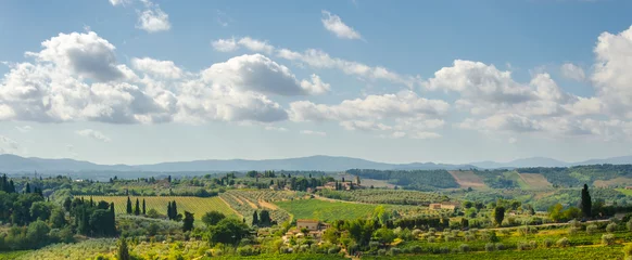 Foto op Canvas Beautiful fields in Tuscany. Italy. Wine region © Jan