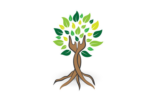 Tree ecology nature care logo icon vector image graphic design illustration template