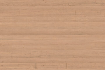 Fototapeta premium maple tree timber background texture structure surface