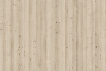 Fototapeta premium maple wood tree timber background texture structure surface