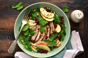 Fresh salad with baby spinach, apple, grillead chicken and dried cranberry. Top view with copy space.