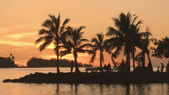 Travel vacation background video. Bora Bora French Polynesia South Pacific Island Sunset with palm trees and people outside at night enjoying beautiful nature in idylic tropical paradise.