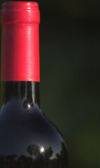 Close-up of a bottle of red wine