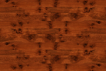 brown oak tree wood wallpaper structure texture background