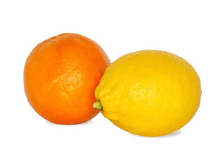 oranges and lemons on a white background