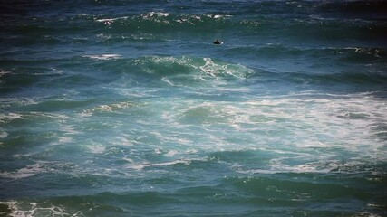 Up and Down- a lone surfer shows determination in disorganized California waves.