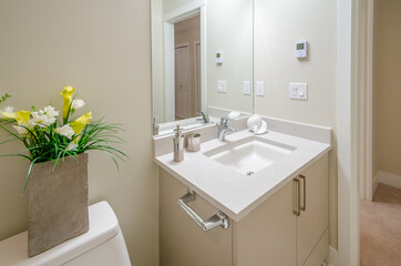 Fragment of a luxury bathroom