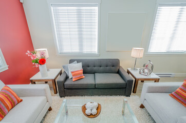 Interior design of a luxury living room