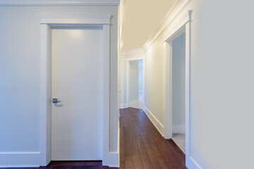House interior. Entrance hallway with white door and hardwood floor.