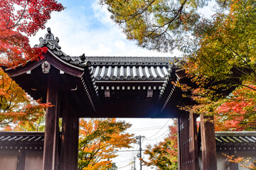 京都・蹴上げの秋の情景