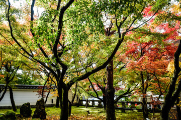 京都・蹴上げの秋の情景